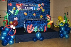 aqua theme