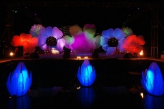 new creation for sangeet